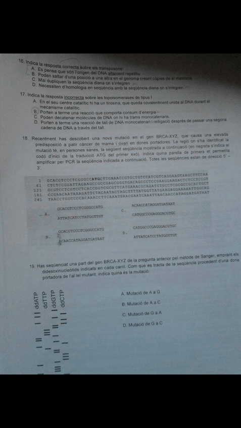 Miniatura del documento 1284120710686334265124752676171502456601028o-1.jpg