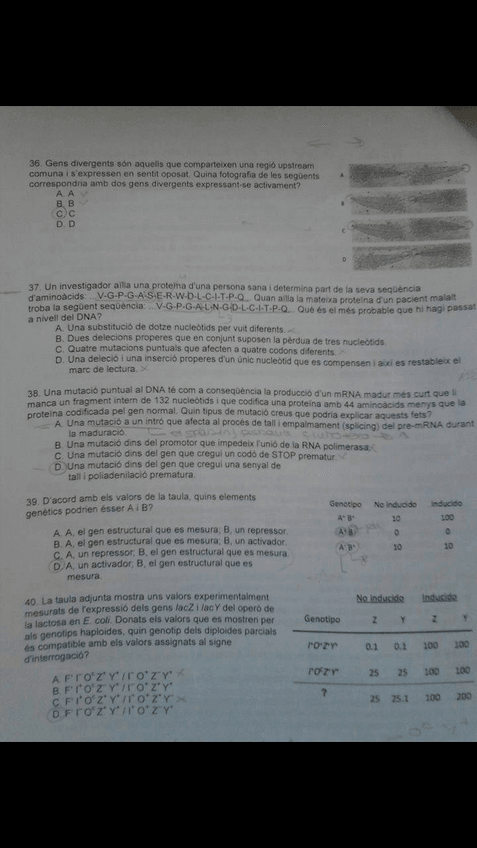 Miniatura del documento 1277926410686335231791326677454738081102021o-1.jpg