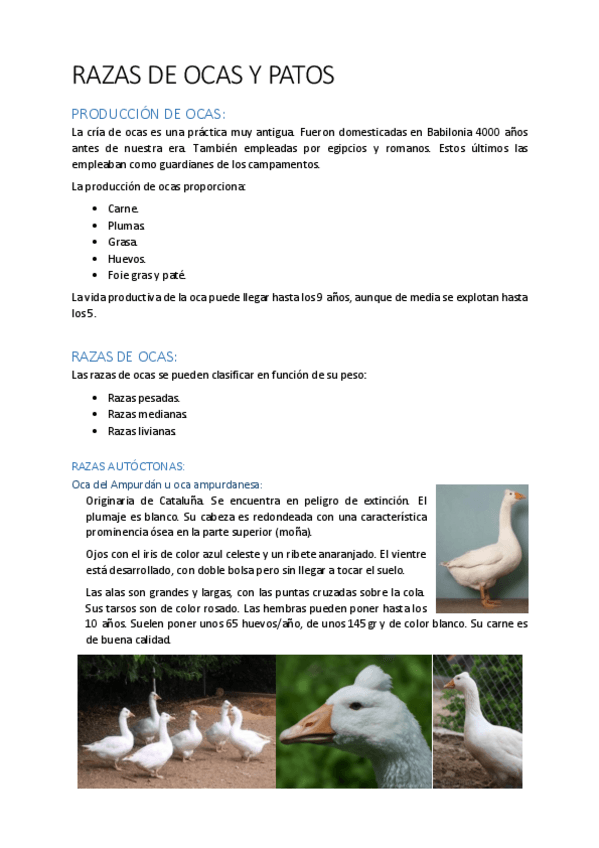 Miniatura del documento NURA-razas-ocas-y-patos.pdf