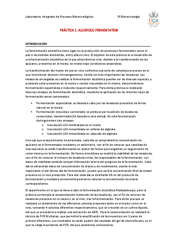 Miniatura del documento Grupo-B1P.pdf