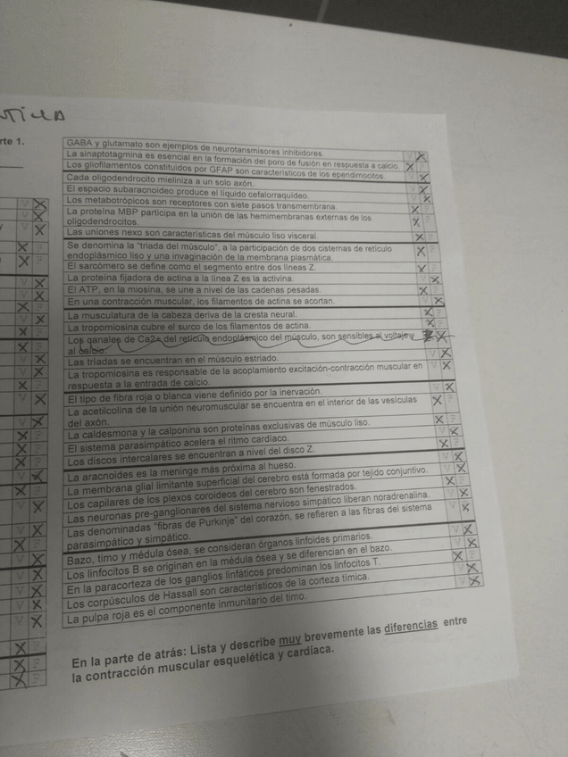 Miniatura del documento IMG-20160629-WA0000.jpg