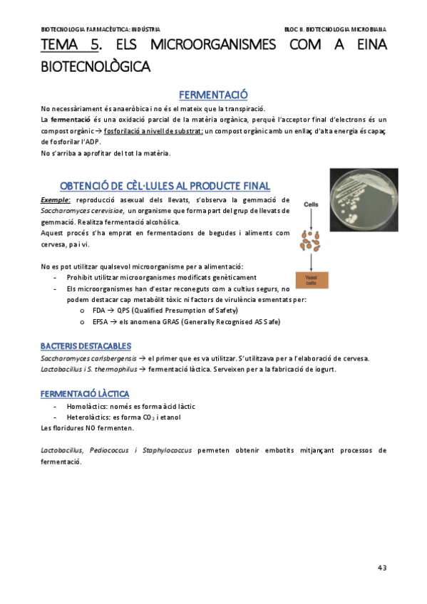 Miniatura del documento indus.pdf