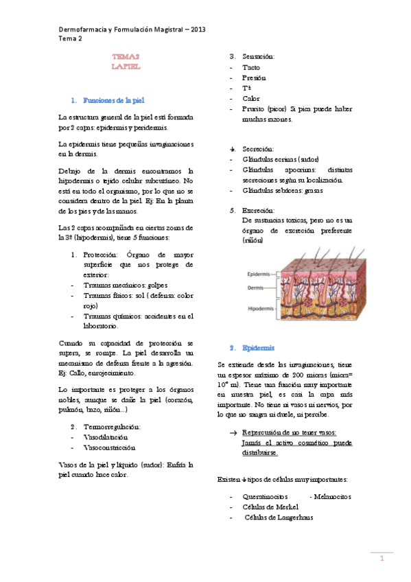 Miniatura del documento dermo TEMA 2  LA PIEL (definitivo)1.pdf