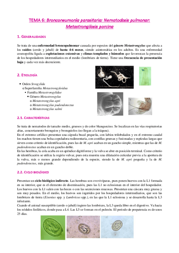 Miniatura del documento Tema-6-Metastrongilidosis-porcina.pdf