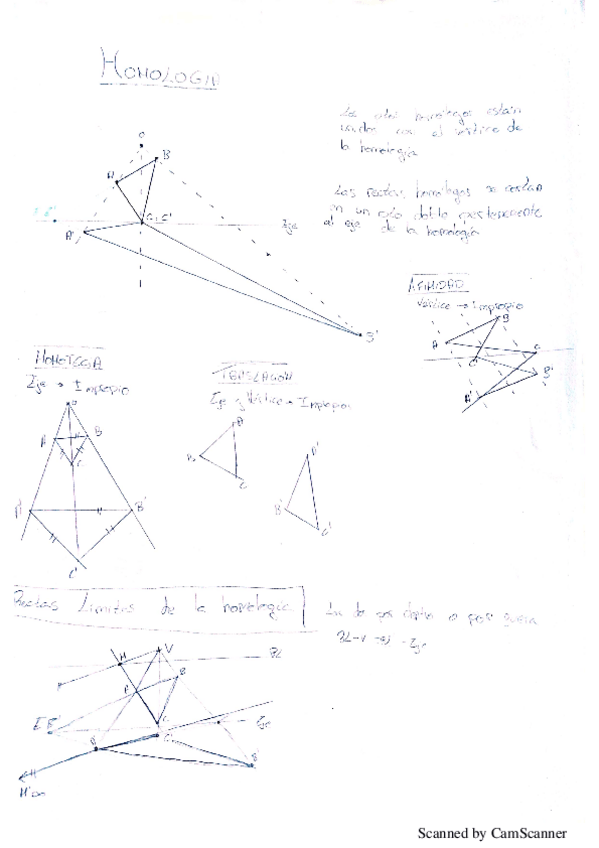 Miniatura del documento homologia.pdf