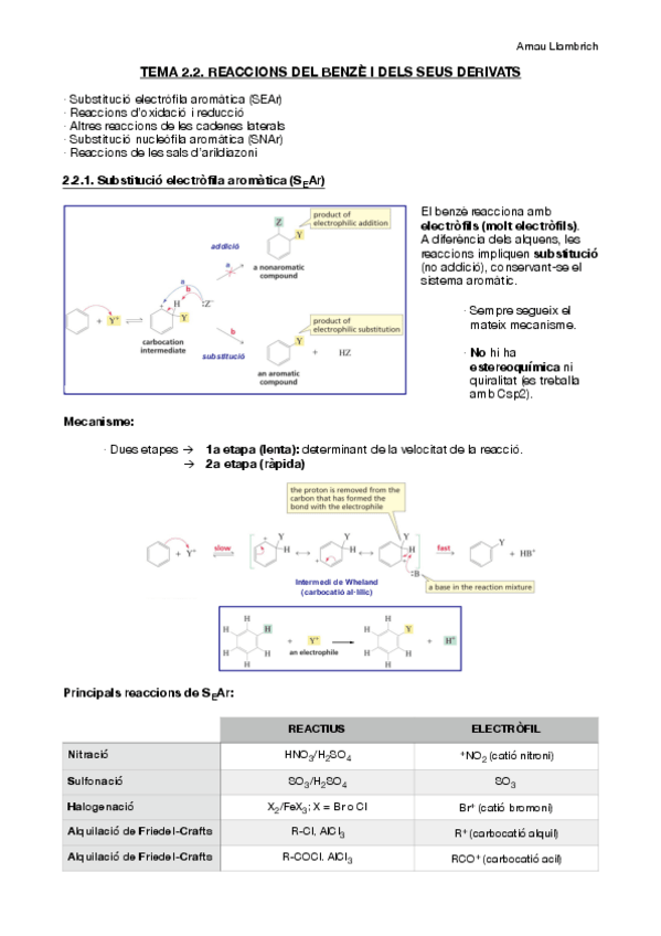 Miniatura del documento Apunts-Quimica-Organica-II-Tema-2.pdf