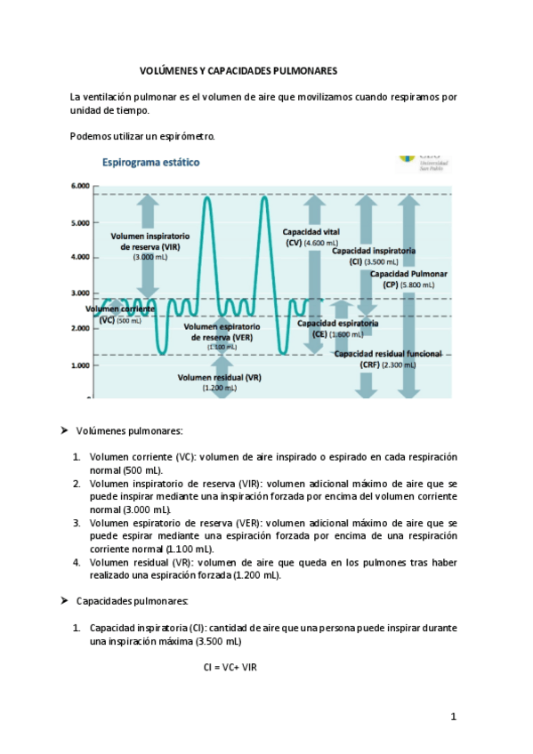 Miniatura del documento VOLUMENES-Y-CAPACIDADES-PULMONARES.pdf