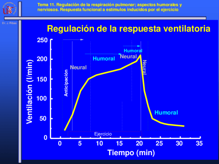 Miniatura del documento Tema-7-2018-F.pdf