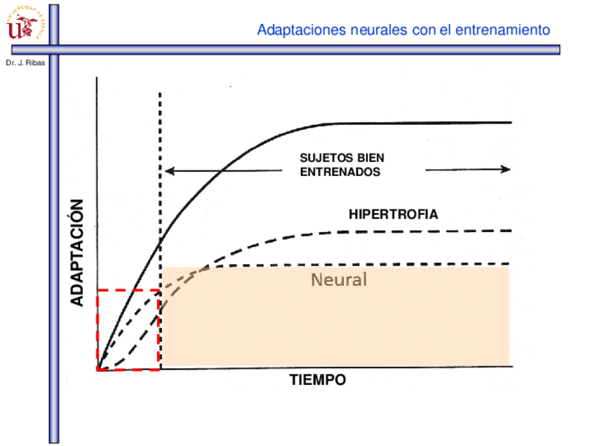Miniatura del documento Tema-5-Regulacion-de-la-activacion-de-los-musculos-esqueleticos.pdf