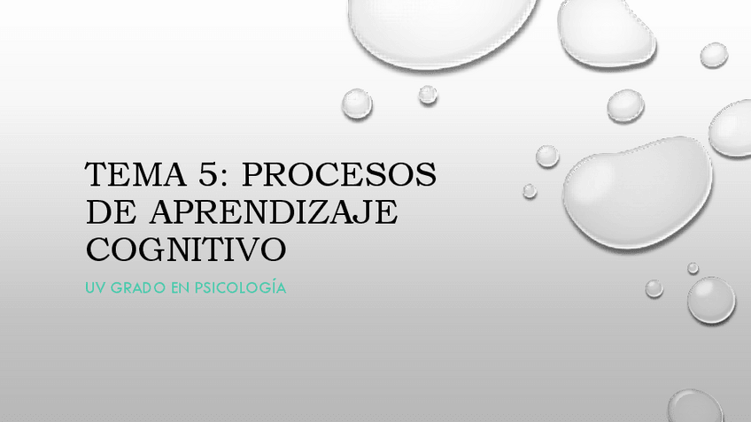 Miniatura del documento TEMA-5-Y-7-ESQUEMAS.pdf