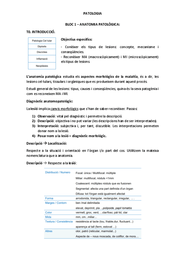 Miniatura del documento BLOC-1.pdf