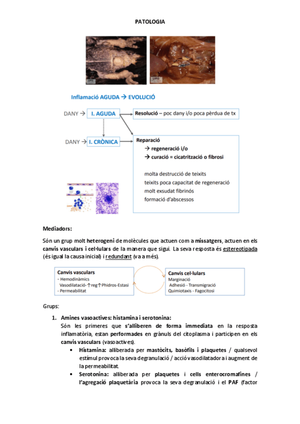 Miniatura del documento BLOC-2.pdf