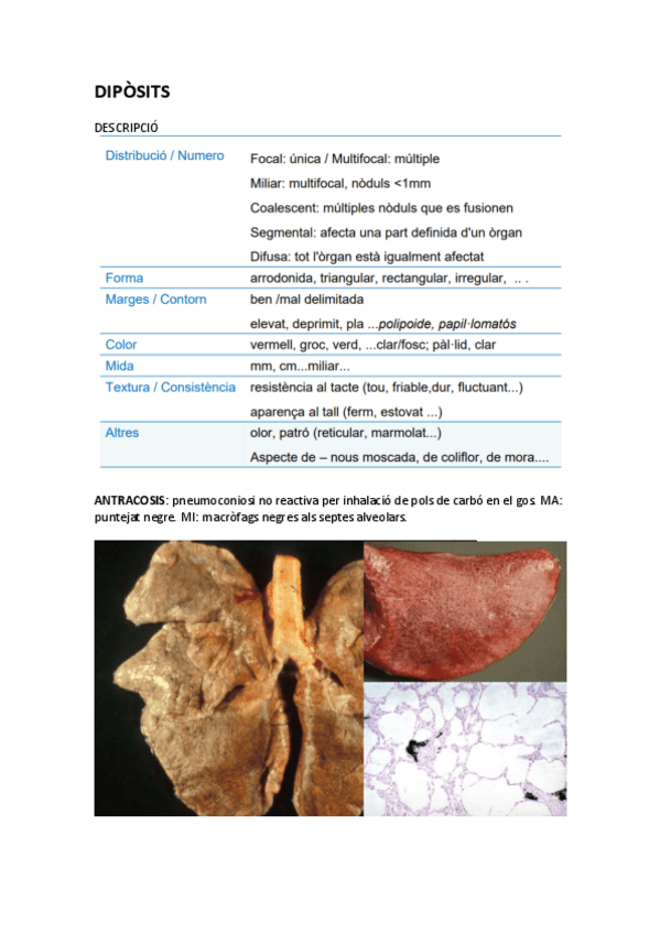 Miniatura del documento PRACTIQUES-DIPOSITS.pdf