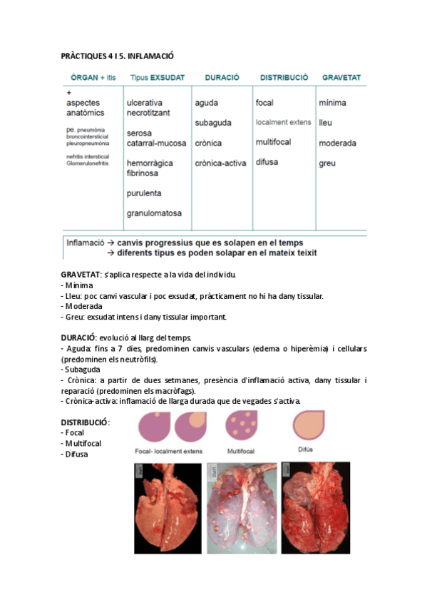 Miniatura del documento PRACTIQUES-INFLAMACIO.pdf