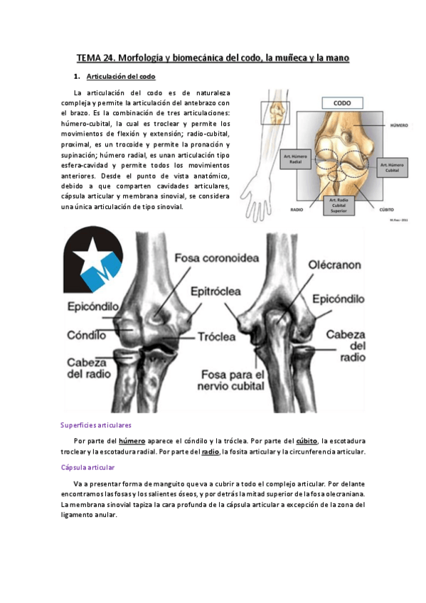 Miniatura del documento TEMA-24.pdf