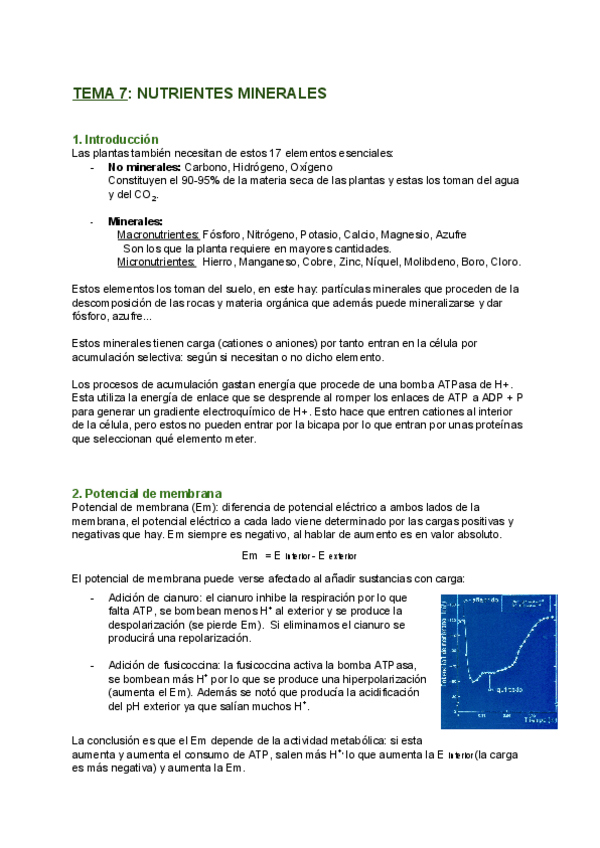 Miniatura del documento TEMA-7-NUTRIENTES-MINERALES.pdf