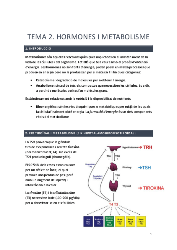 Miniatura del documento TEMA2psicoendo.pdf