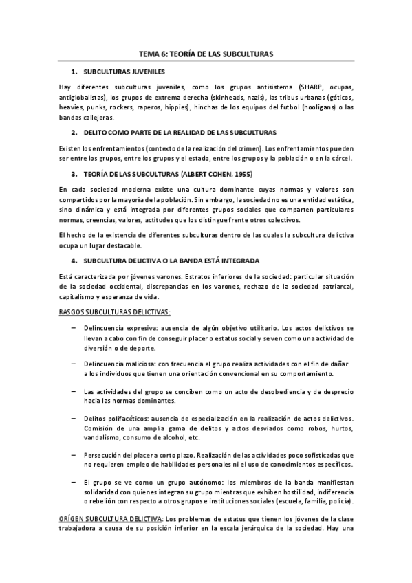 Miniatura del documento TEMA-6-teoria-de-las-subculturas.pdf