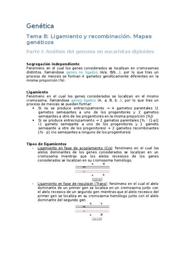 Miniatura del documento apuntes-genetica.docx