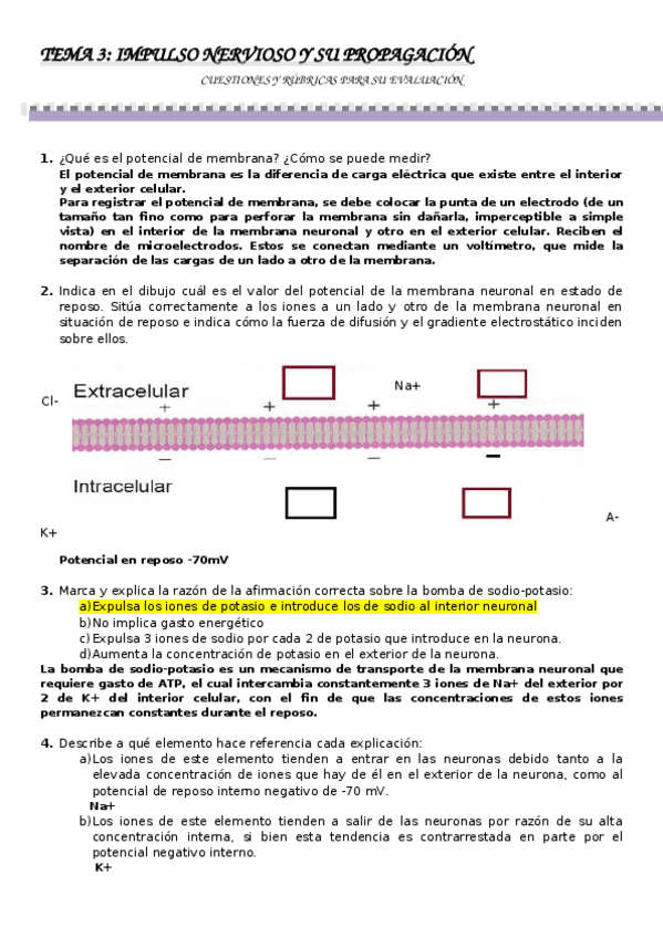 Miniatura del documento Tema-3-2019-20.docx