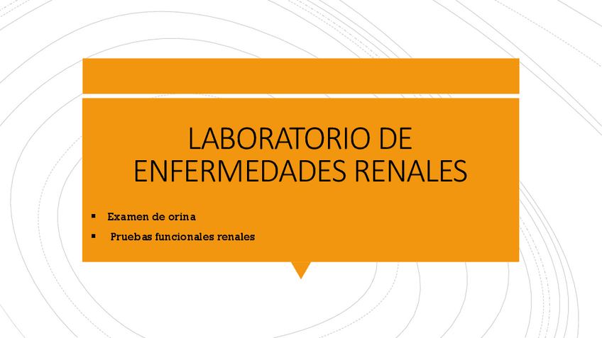 Miniatura del documento Laboratoriodeenfermedadesrenale-rob.pdf