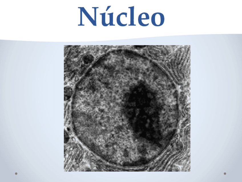 Miniatura del documento 12.pdf