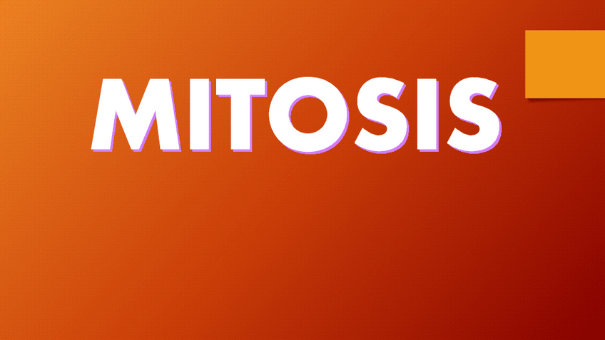 Miniatura del documento 18.pdf