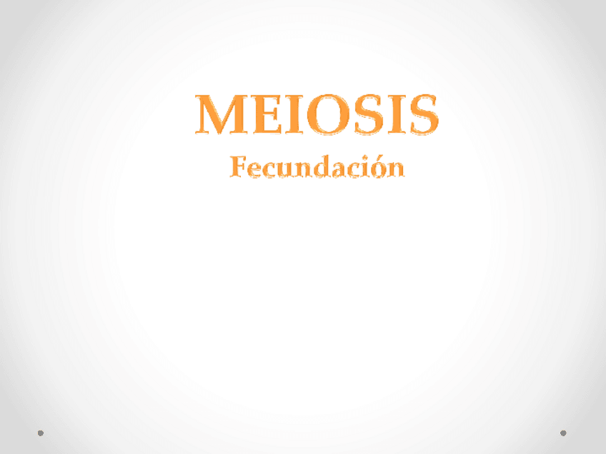 Miniatura del documento 19.pdf