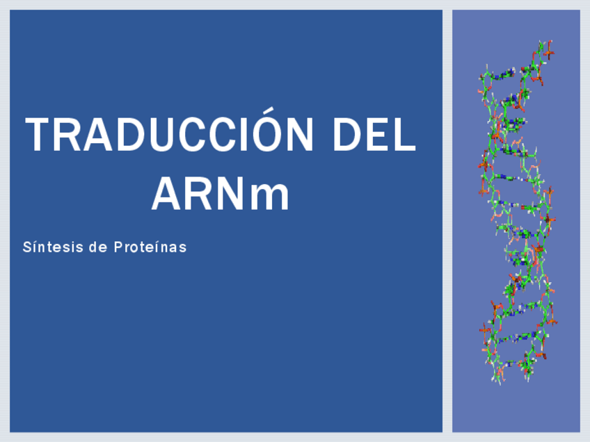 Miniatura del documento Traduccion-del-ARNm-1.pdf