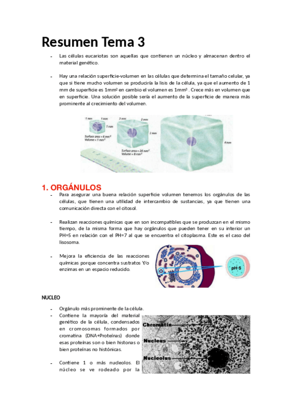 Miniatura del documento Biologia-Tema-3.pdf