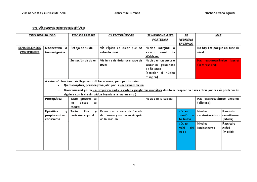Miniatura del documento Vias-nerviosas.pdf
