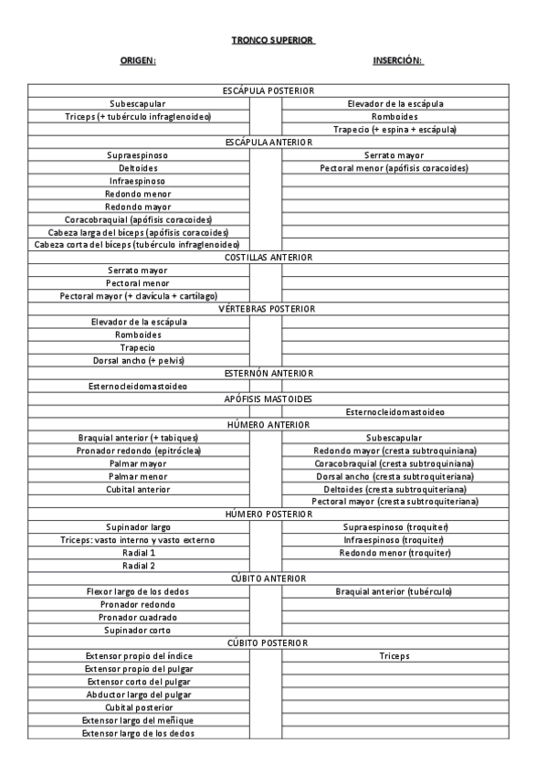 Miniatura del documento ORIGEN-E-INSERCION-MUSCULOS-MIEMBRO-INFERIOR-Y-SUPERIOR.pdf