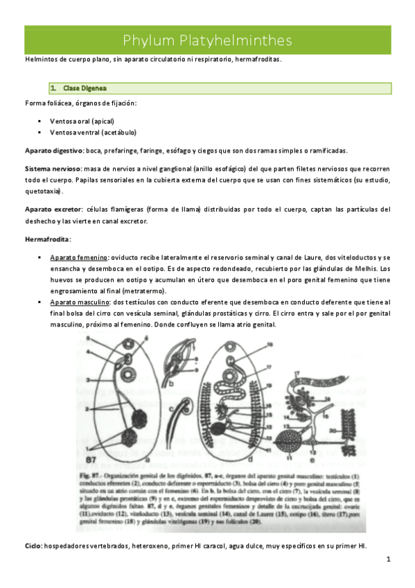 Miniatura del documento Helmintos.pdf