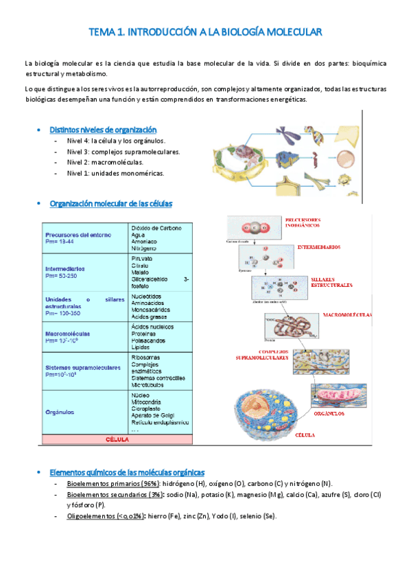 Miniatura del documento tema-1-biologia-apuntes-finales.pdf
