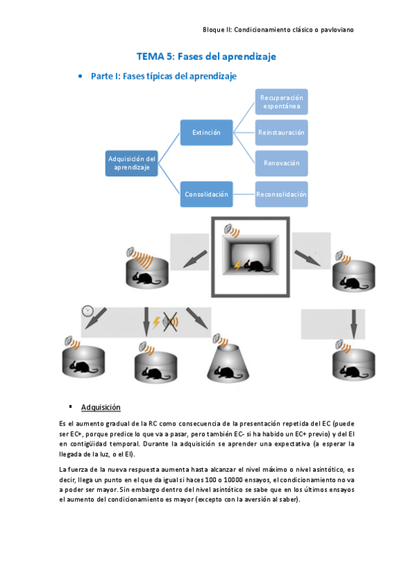 Miniatura del documento 5.pdf