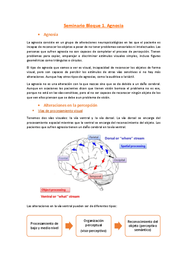 Miniatura del documento Seminario-Bloque-1-Agnosia-apuntes-finales.pdf