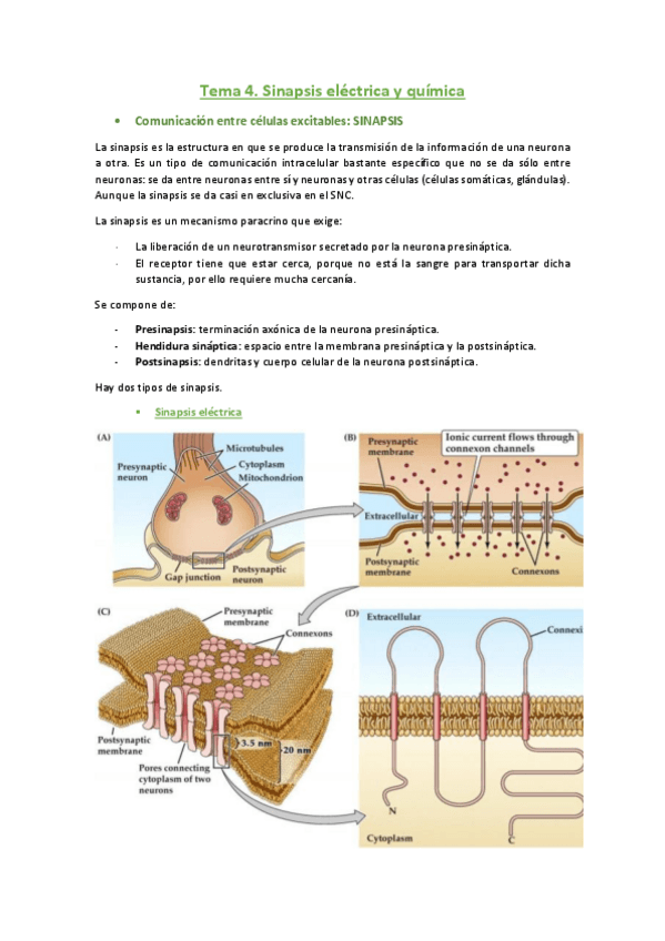 Miniatura del documento 4.pdf