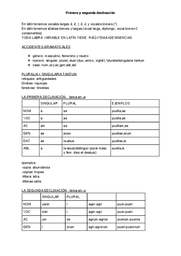 Miniatura del documento Primera-y-segunda-declinacion.pdf
