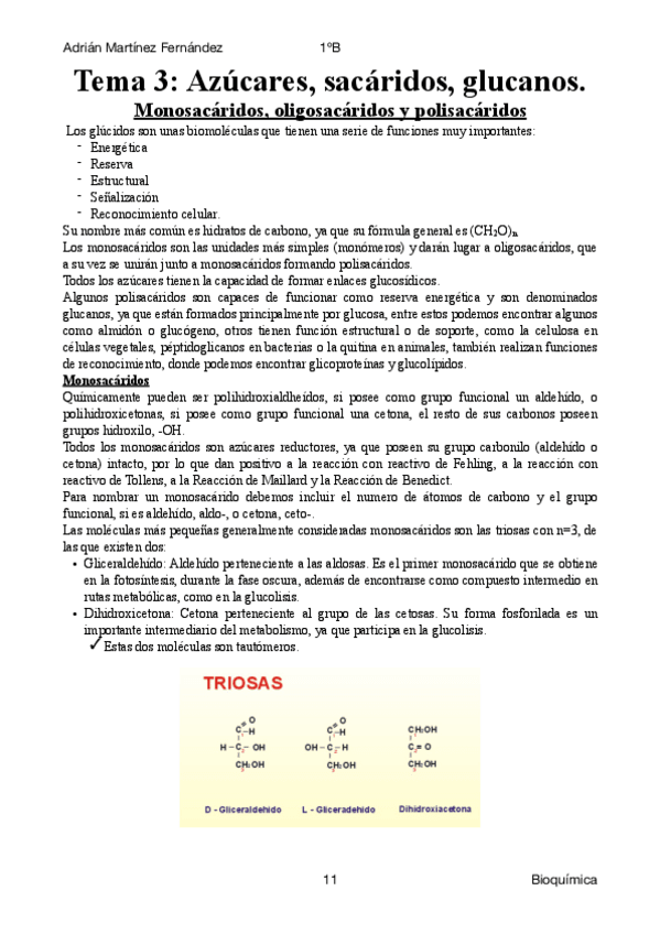 Miniatura del documento Tema 3: Glúcidos.pdf