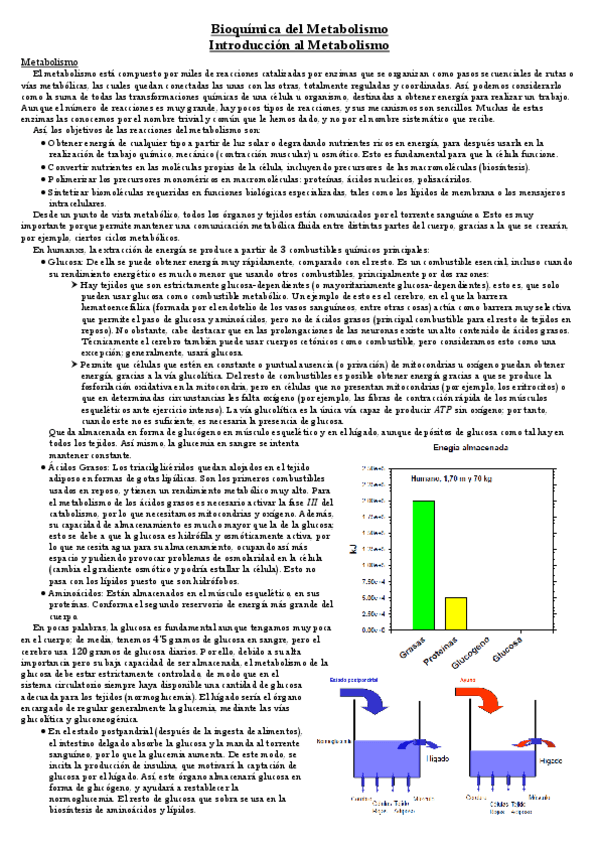 Miniatura del documento Introduccion-al-Metabolismo.pdf