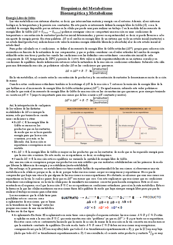 Miniatura del documento Bioenergetica-y-Metabolismo--SEMINARIO-1.pdf