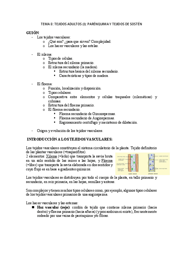 Miniatura del documento TEMA-9-PDF.pdf