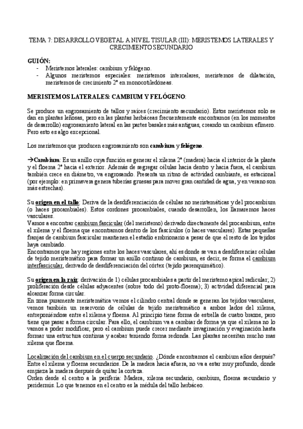 Miniatura del documento TEMA-7.pdf