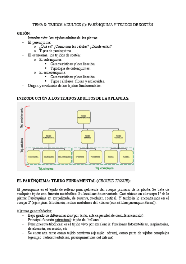 Miniatura del documento TEMA-8-pdf.pdf