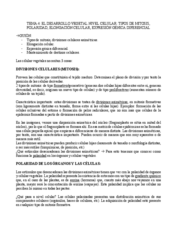 Miniatura del documento TEMA-4.pdf
