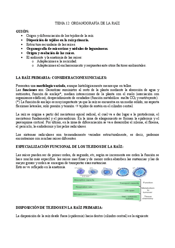 Miniatura del documento TEMA-12-.pdf