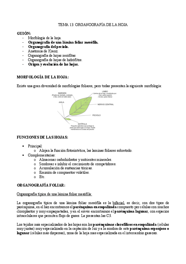 Miniatura del documento TEMA-13-.pdf