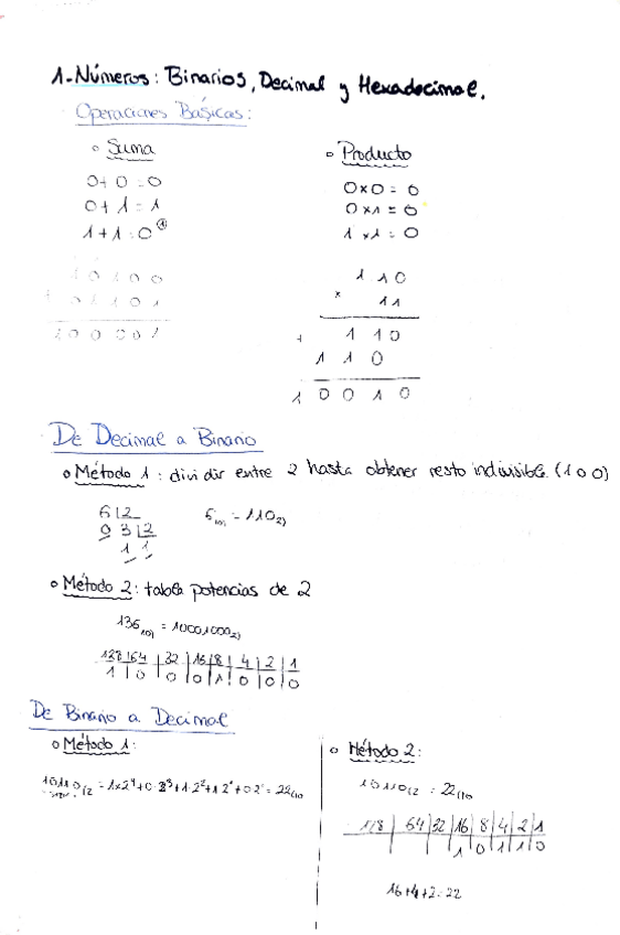 Miniatura del documento Informatica-Apuntes-Tema-1-2.pdf
