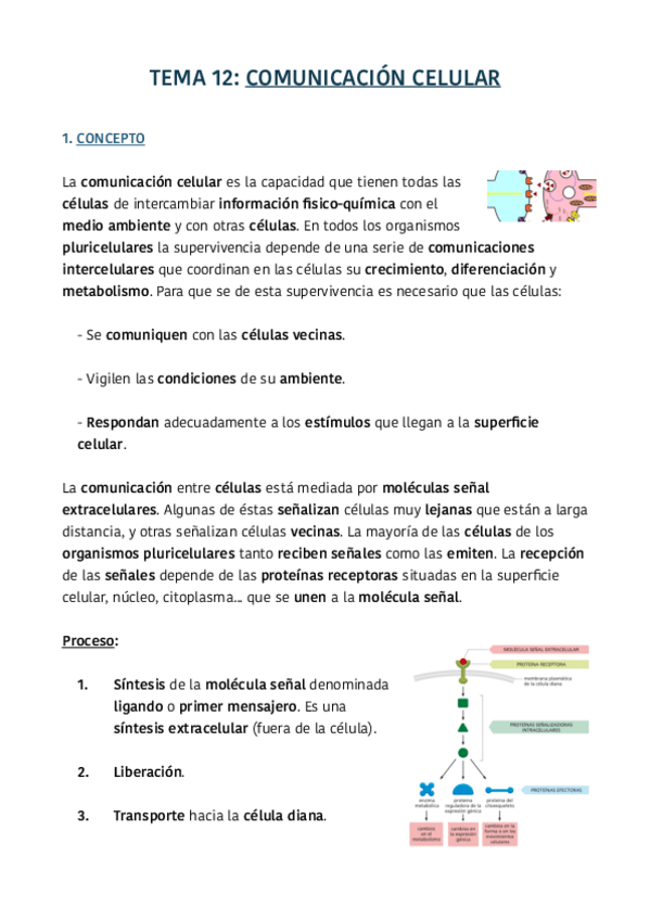 Miniatura del documento TEMA-12.pdf