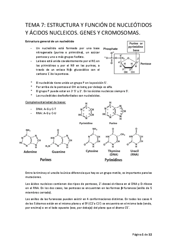 Miniatura del documento BIOQ.pdf